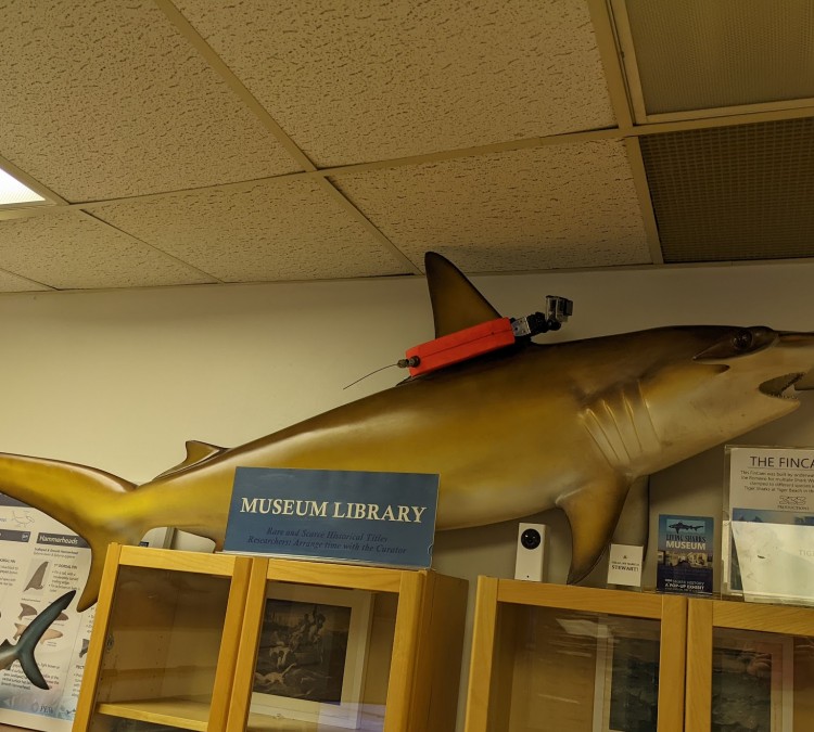 Living Sharks Museum (Westerly,&nbspRI)